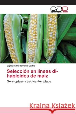 Selección en líneas di-haploides de maíz Balderrama Castro, Sigifredo 9786202107990 Editorial Academica Espanola