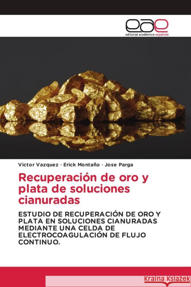 Recuperacion de oro y plata de soluciones cianuradas Victor Vazquez Erick Montano Jose Parga 9786202120494