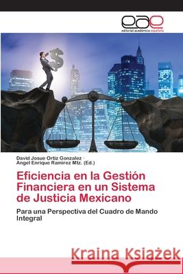 Eficiencia en la Gestión Financiera en un Sistema de Justicia Mexicano Ortiz Gonzalez, David Josue 9786202121606