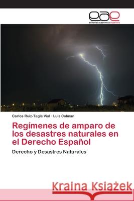 Regímenes de amparo de los desastres naturales en el Derecho Español Ruiz-Tagle Vial, Carlos 9786202134538 Editorial Academica Espanola