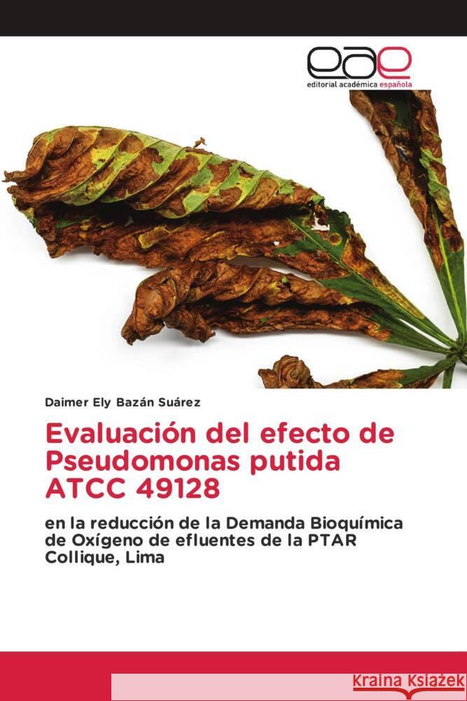 Evaluación del efecto de Pseudomonas putida ATCC 49128 Bazán Suárez, Daimer Ely 9786202142380