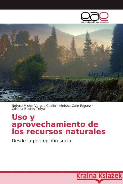 Uso y aprovechamiento de los recursos naturales : Desde la percepción social Vargas Cedillo, Nellyce Mishel; Calle Iñiguez, Melissa; Bustos Troya, Cristina 9786202146753 Editorial Académica Española