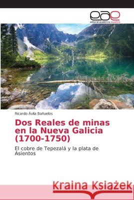 Dos Reales de minas en la Nueva Galicia (1700-1750) Ávila Bañuelos, Ricardo 9786202163200