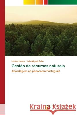Gestão de recursos naturais Nunes, Leonel 9786202171632 Novas Edicioes Academicas