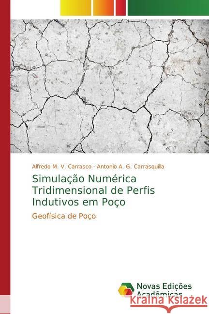 Simulação Numérica Tridimensional de Perfis Indutivos em Poço : Geofísica de Poço Carrasco, Alfredo M. V.; Carrasquilla, Antonio A. G. 9786202194587