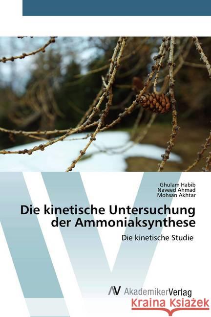 Die kinetische Untersuchung der Ammoniaksynthese : Die kinetische Studie Habib, Ghulam; Ahmad, Naveed; Akhtar, Mohsan 9786202226417