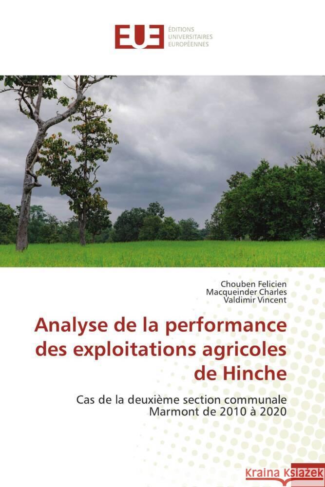 Analyse de la performance des exploitations agricoles de Hinche Felicien, Chouben, Charles, Macqueinder, Vincent, Valdimir 9786202261845