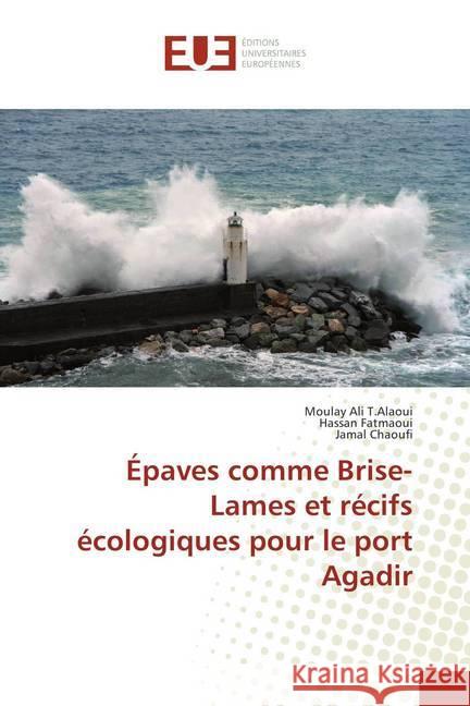 Épaves comme Brise-Lames et récifs écologiques pour le port Agadir T.Alaoui, Moulay Ali; Fatmaoui, Hassan; Chaoufi, Jamal 9786202272155 Éditions universitaires européennes