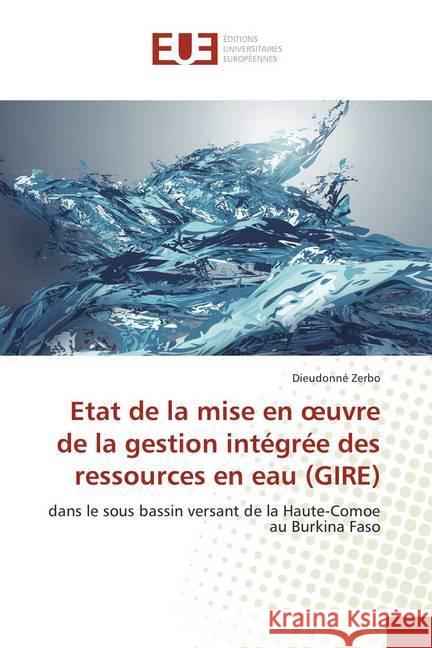 Etat de la mise en oeuvre de la gestion intégrée des ressources en eau (GIRE) : dans le sous bassin versant de la Haute-Comoe au Burkina Faso Zerbo, Dieudonné 9786202275002