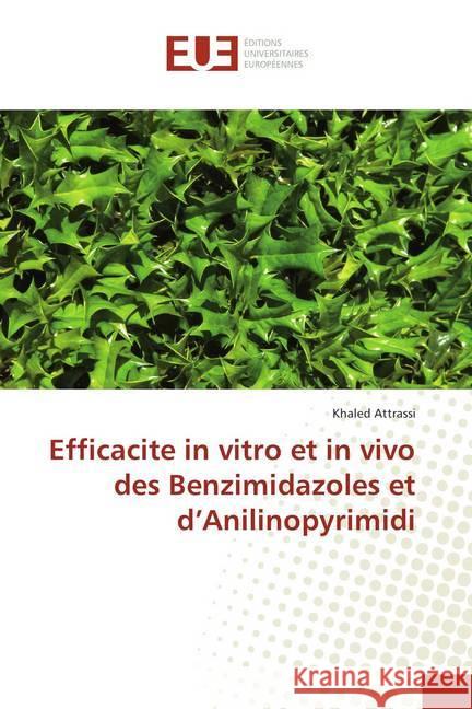 Efficacite in vitro et in vivo des Benzimidazoles et d'Anilinopyrimidi Attrassi, Khaled 9786202275897 Éditions universitaires européennes