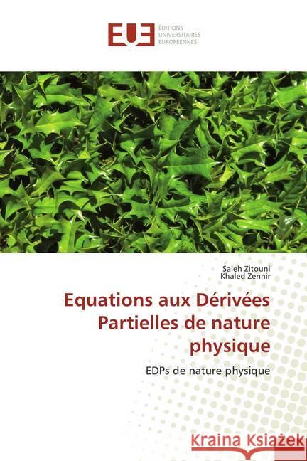 Equations aux Dérivées Partielles de nature physique : EDPs de nature physique Zitouni, Saleh; Zennir, Khaled 9786202277969 Éditions universitaires européennes