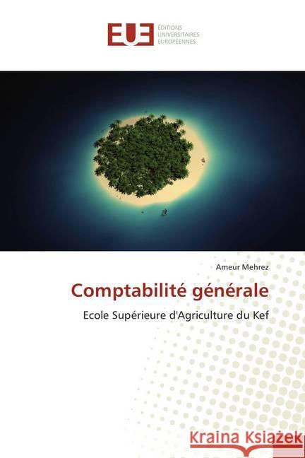 Comptabilité générale : Ecole Supérieure d'Agriculture du Kef Mehrez, Ameur 9786202281713