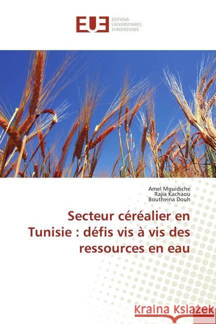 Secteur céréalier en Tunisie : défis vis à vis des ressources en eau Mguidiche, Amel; Kachaou, Rajia; DOUH, Boutheina 9786202284219