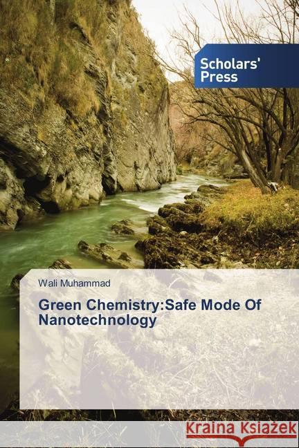 Green Chemistry: Safe Mode Of Nanotechnology Muhammad, Wali 9786202307239