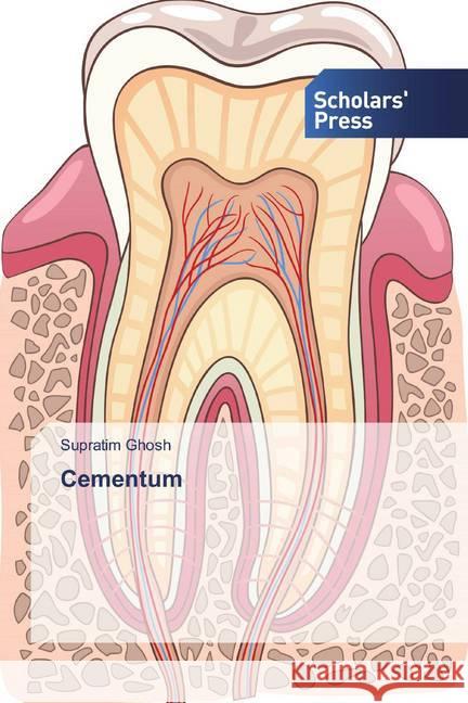 Cementum Ghosh, Supratim 9786202317184