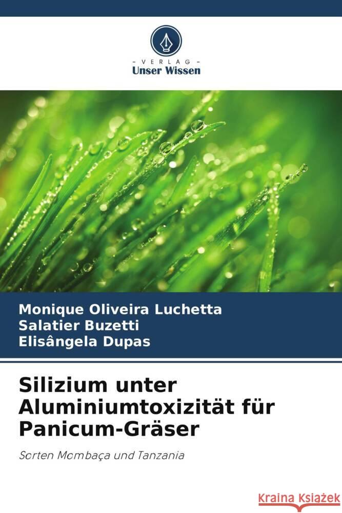 Silizium unter Aluminiumtoxizität für Panicum-Gräser Oliveira Luchetta, Monique, Buzetti, Salatier, Dupas, Elisângela 9786202378819