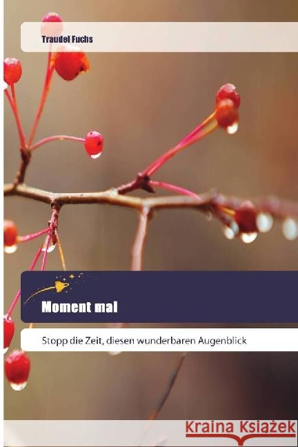 Moment mal : Stopp die Zeit, diesen wunderbaren Augenblick Fuchs, Traudel 9786202443593