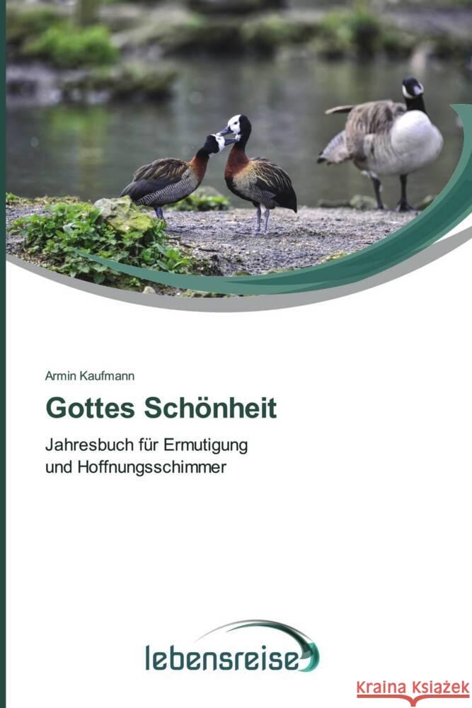 Gottes Sch?nheit Armin Kaufmann 9786202496087