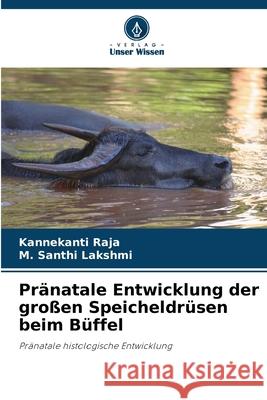 Pränatale Entwicklung der großen Speicheldrüsen beim Büffel Raja, Kannekanti, Santhi Lakshmi, M. 9786202498920