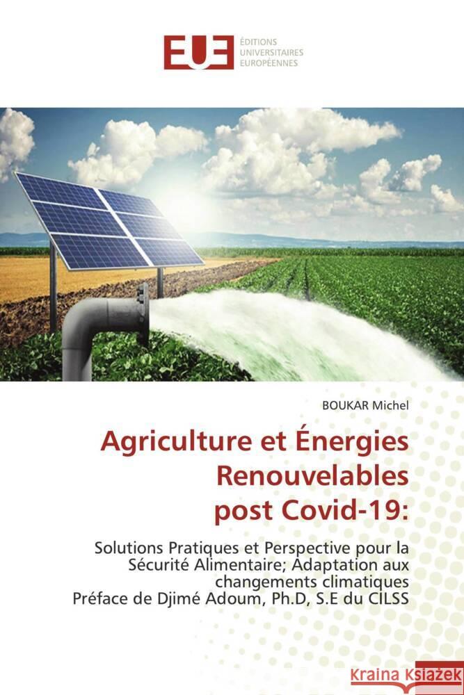 Agriculture et Énergies Renouvelables post Covid-19: Michel, Boukar 9786202539883