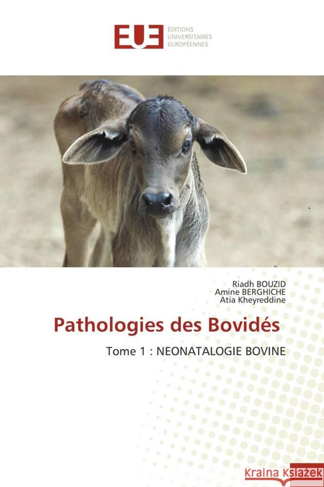 Pathologies des Bovidés Bouzid, Riadh, Berghiche, Amine, Kheyreddine, Atia 9786202544047