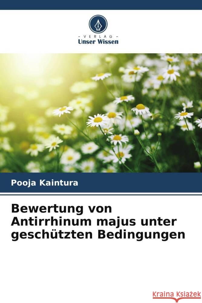 Bewertung von Antirrhinum majus unter geschützten Bedingungen Kaintura, Pooja 9786202640190