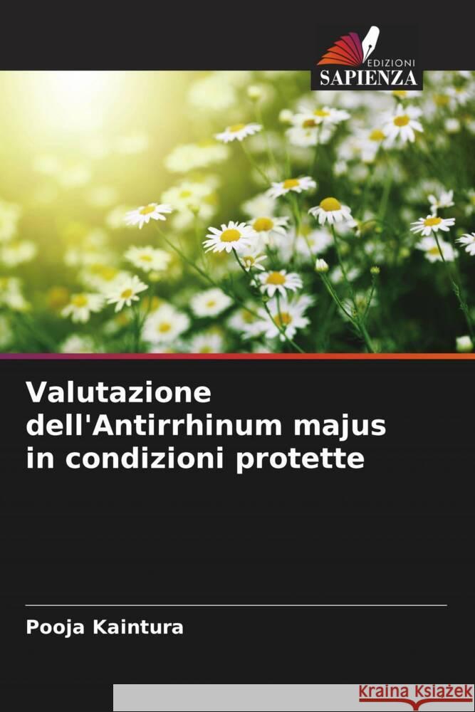 Valutazione dell'Antirrhinum majus in condizioni protette Kaintura, Pooja 9786202640251