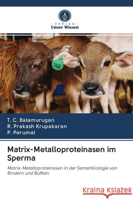 Matrix-Metalloproteinasen im Sperma Balamurugan, T. C.; Prakash Krupakaran, R.; Perumal, P. 9786202653145 Sciencia Scripts