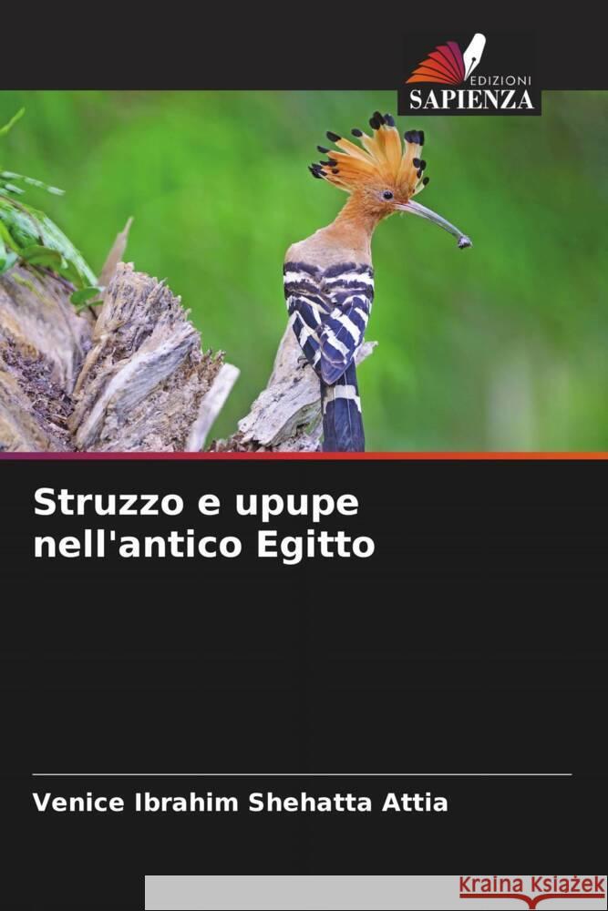 Struzzo e upupe nell'antico Egitto Shehatta Attia, Venice Ibrahim 9786202755917