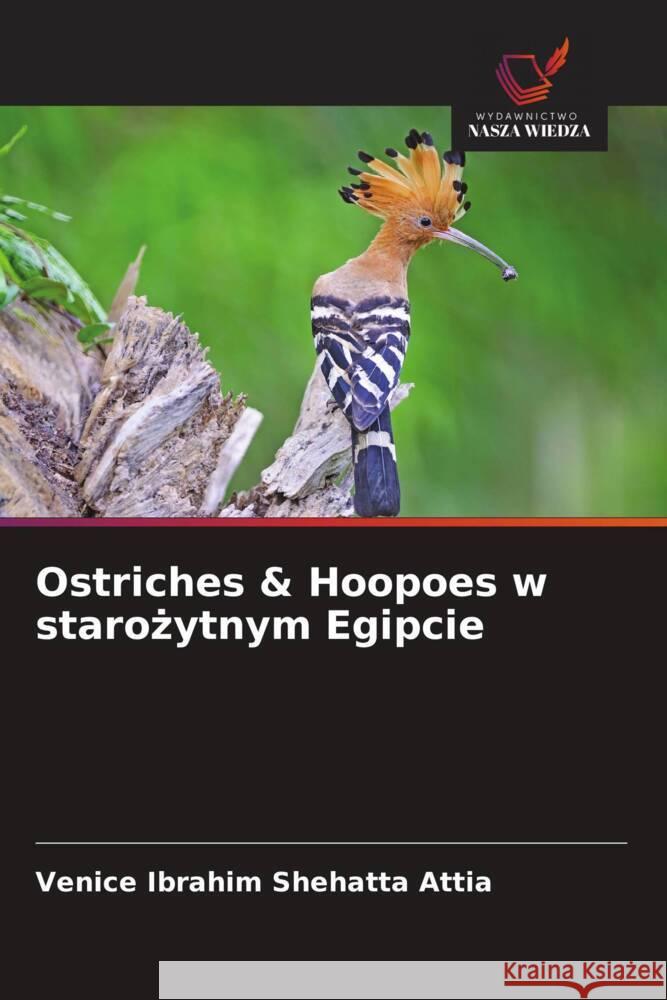 Ostriches & Hoopoes w starozytnym Egipcie Shehatta Attia, Venice Ibrahim 9786202755955