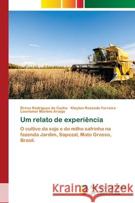 Um relato de experiência Rodrigues Da Cunha, Breno 9786202804677 Novas Edicoes Academicas