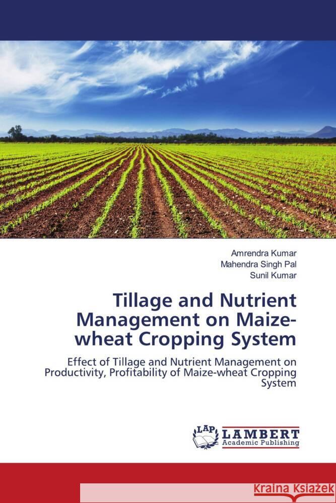 Tillage and Nutrient Management on Maize-wheat Cropping System Kumar, Amrendra, Pal, Mahendra Singh, Kumar, Sunil 9786202920247