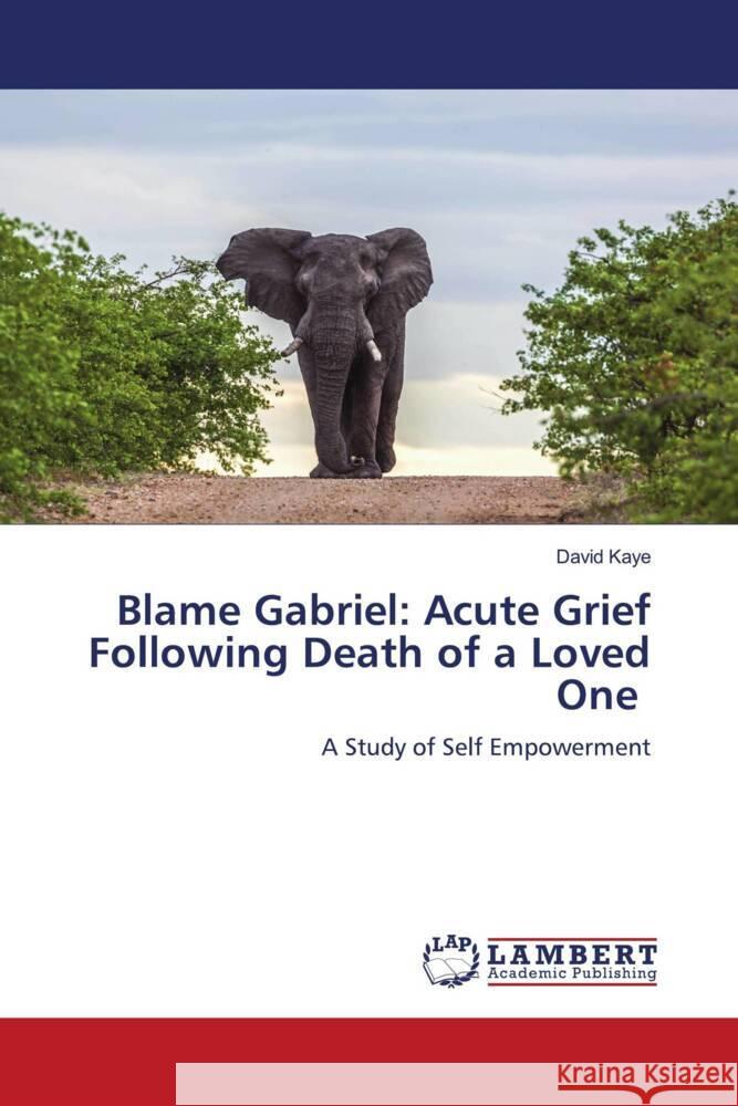 Blame Gabriel: Acute Grief Following Death of a Loved One Kaye, David 9786202923231