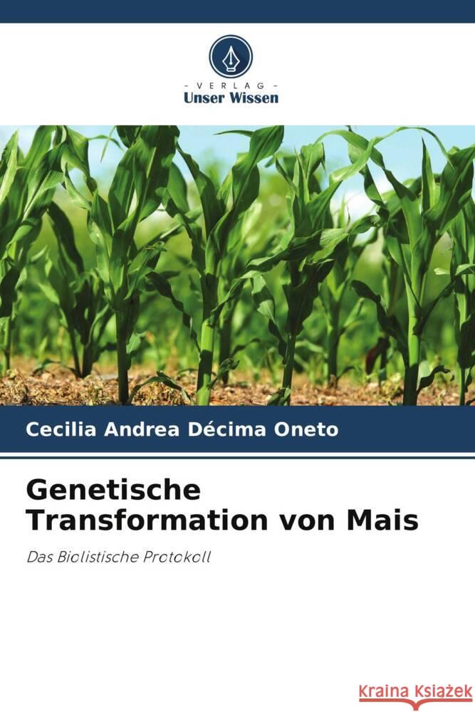 Genetische Transformation von Mais Décima Oneto, Cecilia Andrea 9786203019506