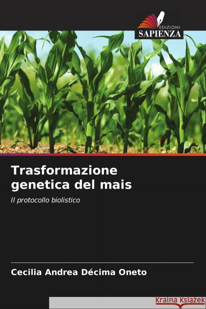 Trasformazione genetica del mais Décima Oneto, Cecilia Andrea 9786203019728