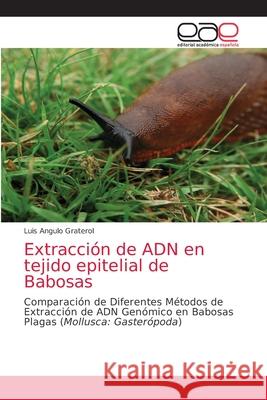 Extracción de ADN en tejido epitelial de Babosas Luis Angulo Graterol 9786203033359 Editorial Academica Espanola