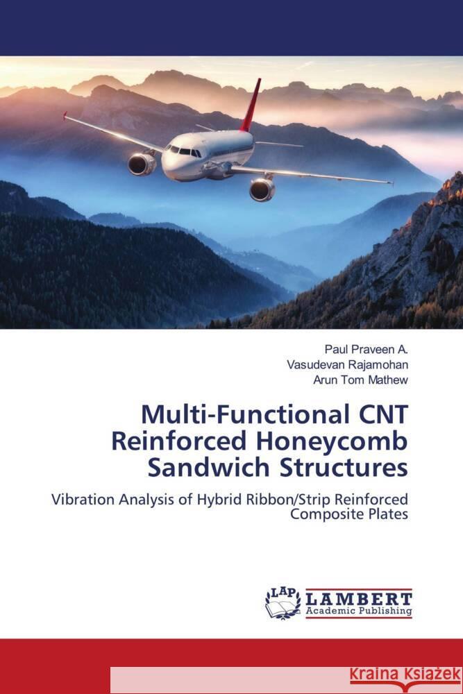 Multi-Functional CNT Reinforced Honeycomb Sandwich Structures Praveen A., Paul, Rajamohan, Vasudevan, Mathew, Arun Tom 9786203040517