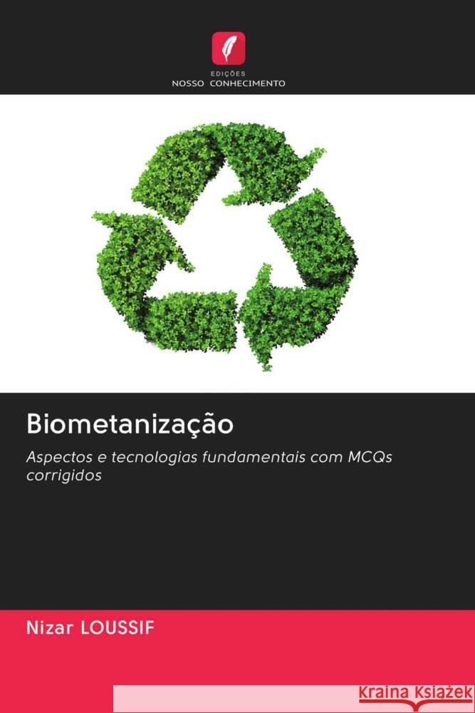 Biometanização Loussif, Nizar 9786203048568