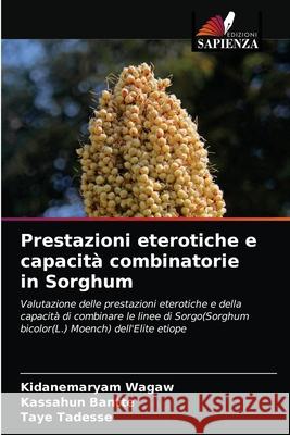 Prestazioni eterotiche e capacità combinatorie in Sorghum Kidanemaryam Wagaw, Kassahun Bantte, Taye Tadesse 9786203090000