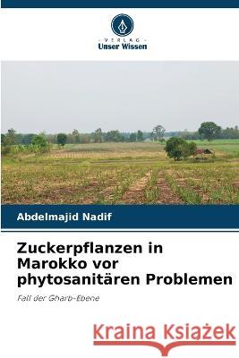 Zuckerpflanzen in Marokko vor phytosanitaren Problemen Abdelmajid Nadif   9786203165807 International Book Market Service Ltd