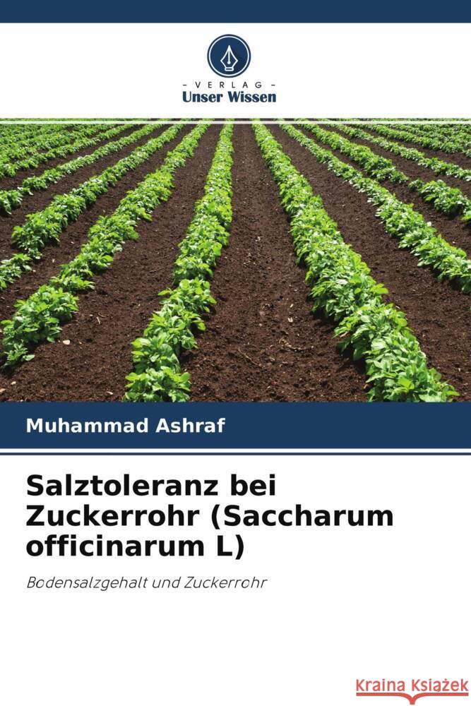 Salztoleranz bei Zuckerrohr (Saccharum officinarum L) Ashraf, Muhammad 9786203297362