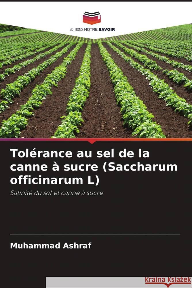 Tolérance au sel de la canne à sucre (Saccharum officinarum L) Ashraf, Muhammad 9786203297386