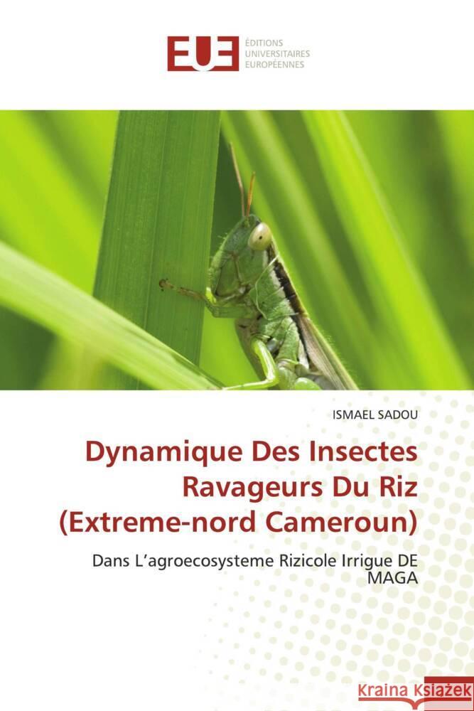 Dynamique Des Insectes Ravageurs Du Riz (Extreme-nord Cameroun) Sadou, Ismael 9786203443745