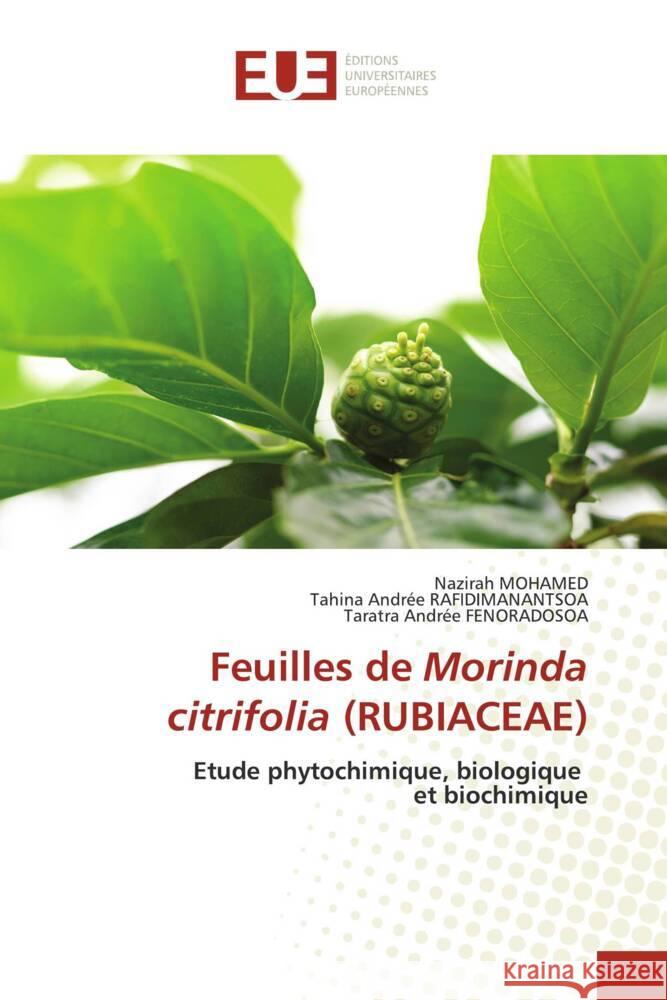 Feuilles de Morinda citrifolia (RUBIACEAE) MOHAMED, Nazirah, Rafidimanantsoa, Tahina Andrée, Fenoradosoa, Taratra Andrée 9786203447415 Éditions universitaires européennes