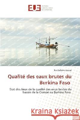 Qualite des eaux brutes du Burkina Faso Barthelemy Bawar   9786203454260