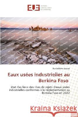 Eaux usees industrielles au Burkina Faso Barthelemy Bawar   9786203454277 International Book Market Service Ltd