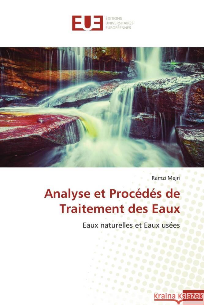 Analyse et Procédés de Traitement des Eaux Mejri, Ramzi 9786203456653