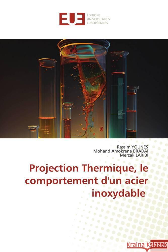 Projection Thermique, le comportement d'un acier inoxydable Younes, Rassim, Bradai, Mohand Amokrane, LARIBI, Merzak 9786203460063