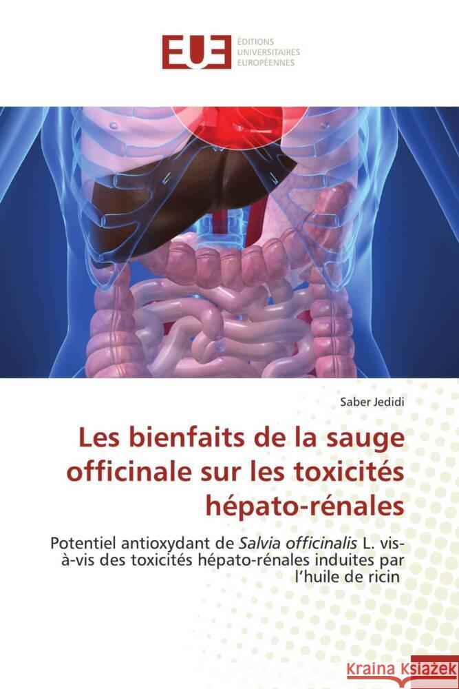 Les bienfaits de la sauge officinale sur les toxicités hépato-rénales Jedidi, Saber 9786203460636