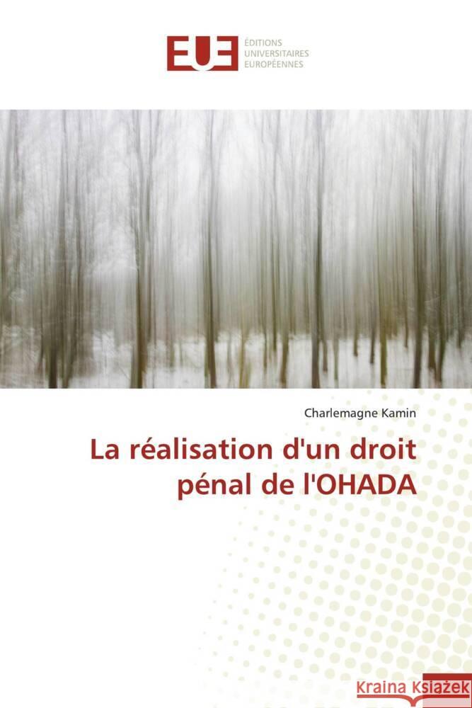 La réalisation d'un droit pénal de l'OHADA Kamin, Charlemagne 9786203460957